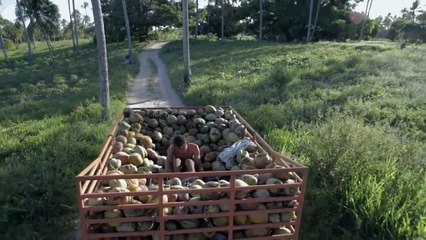 Ventos de Agosto | movie | 2014 | Official Trailer