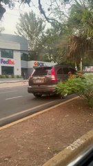 Exponen a conductor manejando en contravía en pleno bulevar Morazán, de la capital