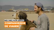 Meu Melhor Amigo: Companheiros de Viagem