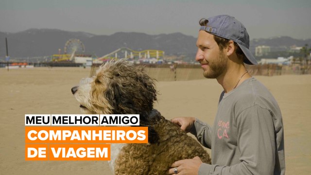 Meu Melhor Amigo: Companheiros de Viagem