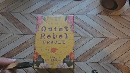 Quiet Rebels Unboxing! Beautiful art!!