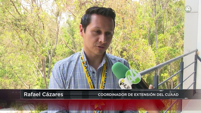 Estudiantes ponen a prueba conocimientos de programación con cinco empresas