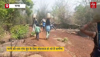 पन्ना के प्यासे गांव की दर्दभरी कहानी! जंगल में बाघ हैं, लेकिन 2 किमी चल ढोया जा रहा पानी