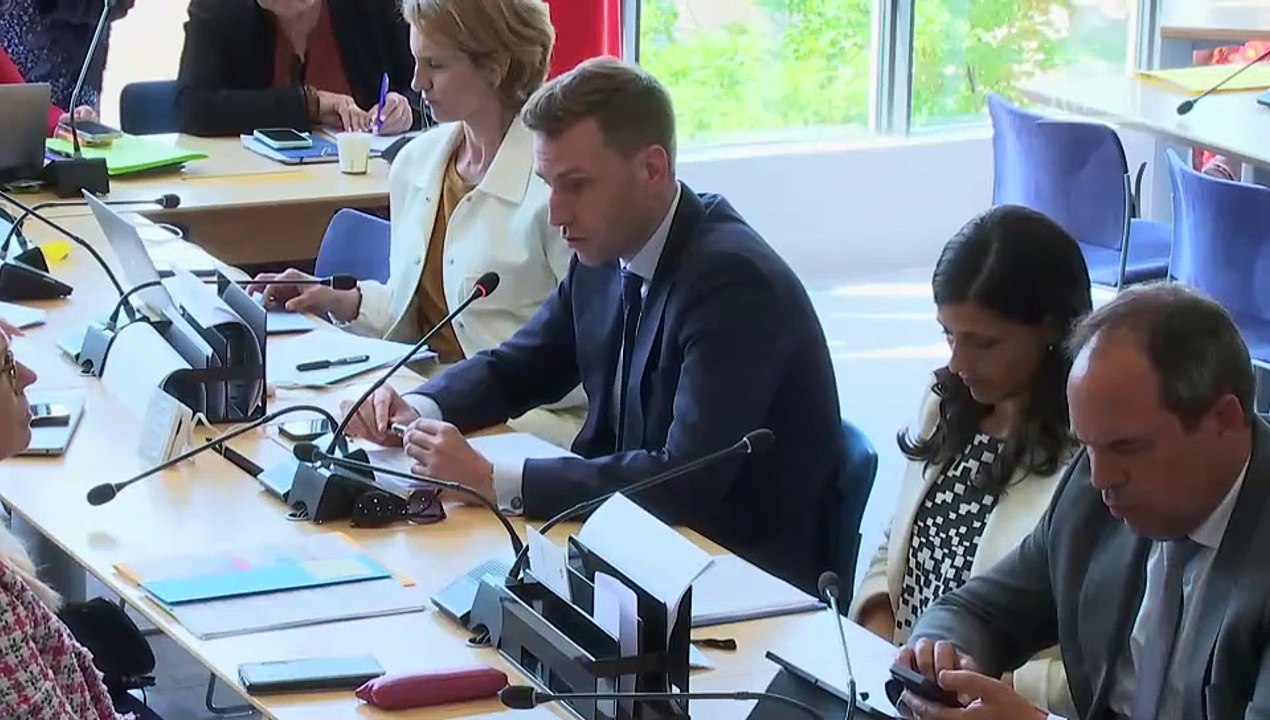 Commission des affaires européennes : Suspension temporaire du Pacte vert européen ; Soutenir une politique ambitieuse et ouverte de la recherche scientifique de l’UE - Mercredi 14 mai 2025