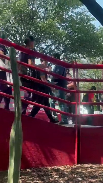Día del maestro: estos son algunos de los retos que enfrentan los docentes en Nuevo León