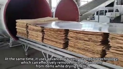 The high-frequency vacuum dryer