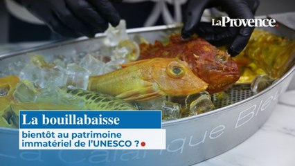 La bouillabaisse vise l’UNESCO : une recette marseillaise au patrimoine immatériel ?