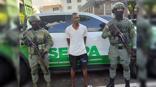Detienen a hombre que mató un tiburón en playa Guayacanes