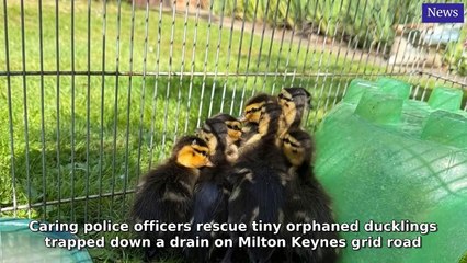 Milton Keynes Citizen Morning Update 15 May, 2025