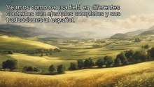 10000 palabras - field