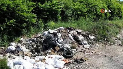 İstanbul'da doğa katliamı! Ormanlık alan çöplüğe döndü