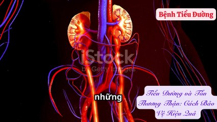 Tiểu Đường và Tổn Thương Thận Cách Bảo Vệ Hiệu Quả