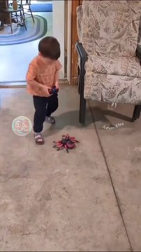 Baby's funny videos 😂 baby viral funny video 😂📸 new viral funny video #short #shortvideos #funny #funnyvideos #viralvideos #viralshorts #comedy #baby #kid