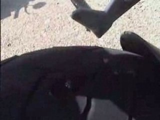 Visite du bac a gravier