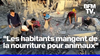 Pour Médecins sans frontières, Israël crée les conditions pour une "éradication des Palestiniens" à Gaza