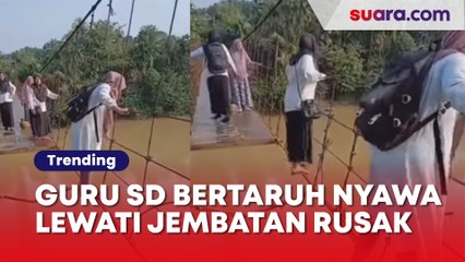 Viral Perjuangan Guru SD di Pelosok Indonesia, Bertaruh Nyawa Saat Melewati Jembatan Rusak