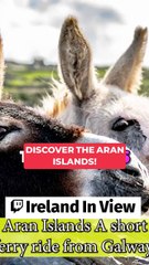 Why Everyone Loves The Aran Islands  (Inis Mor)