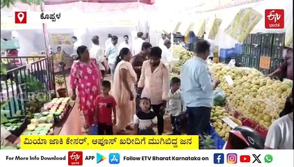 ಕೊಪ್ಪಳದಲ್ಲಿ ಮಾವು ಮೇಳ: ಮಿಯಾ ಜಾಕಿ ಕೇಸರ್​​, ಆಪೂಸ್​​​ ಖರೀದಿಗೆ ಮುಗಿಬಿದ್ದ ಜನ