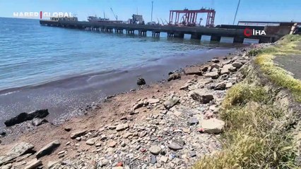 Marmara Denizi'nin Tekirdağ kıyılarında kızıl yosun birikintisi oluştu