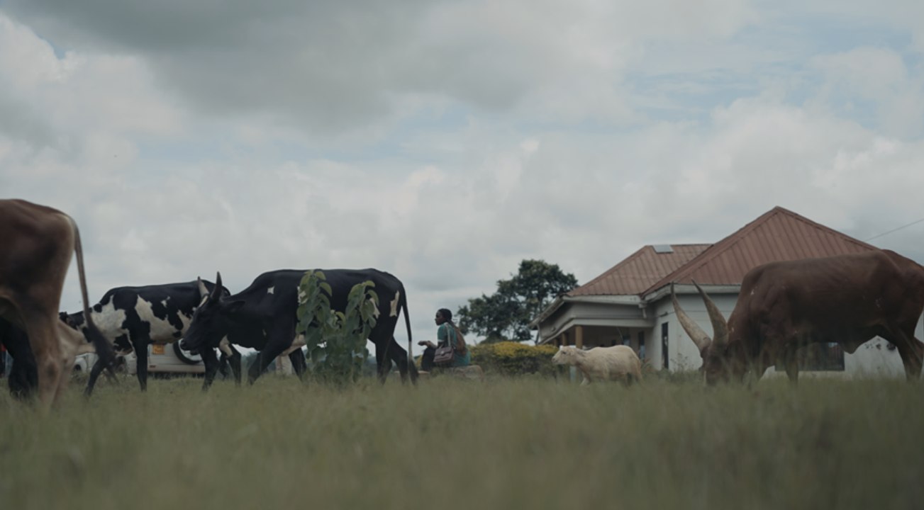 Pour moi, la nature est une évidence depuis l’enfance