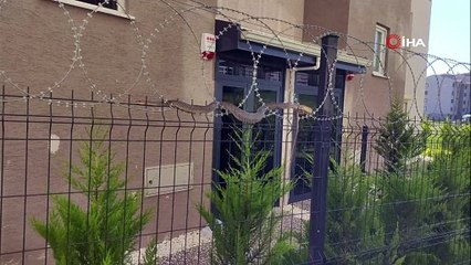 Kimse gözlerine inanamadı! Korkudan kimse yanına yaklaşamadı