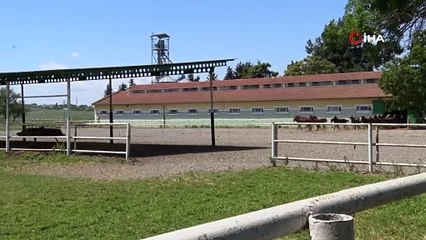 Bursa'da tam 7 asırlık bu kapıların arkasında yatan servet ilk kez görüntülendi!