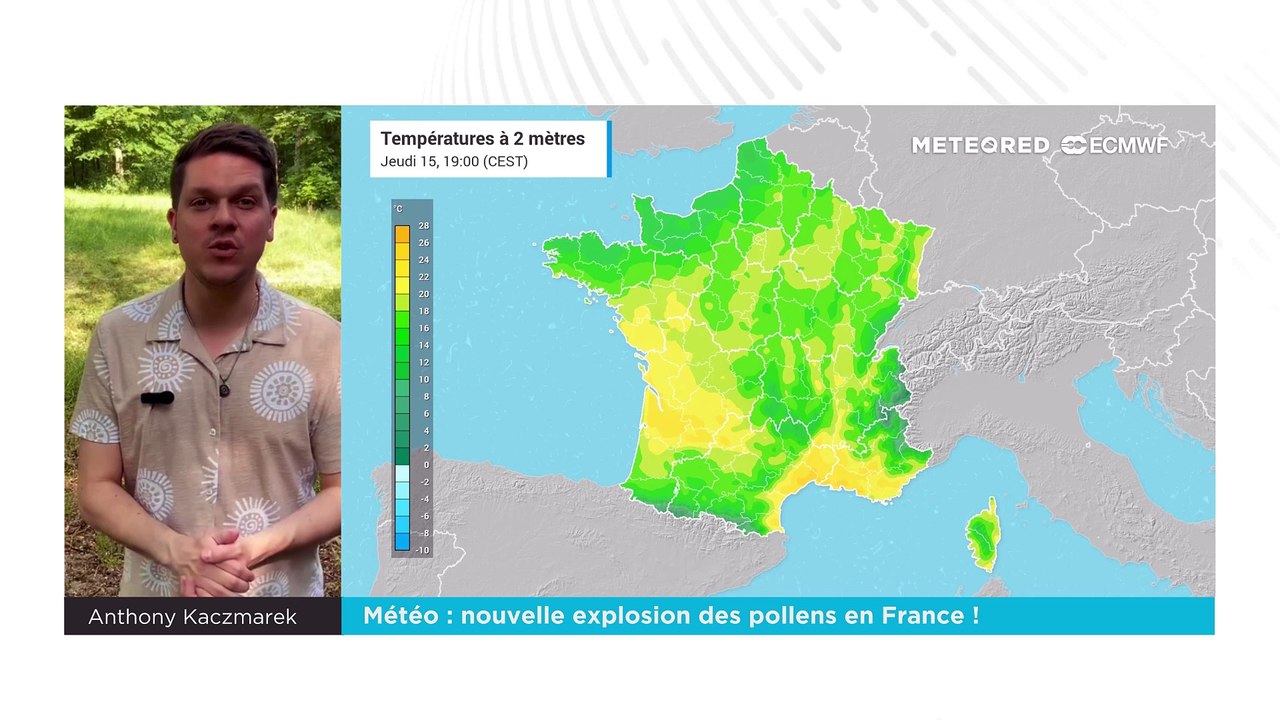Météo : nouvelle explosion des pollens en France !