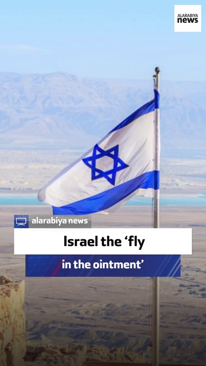 Ex-Syrian diplomat: Israel the fly in the ointment