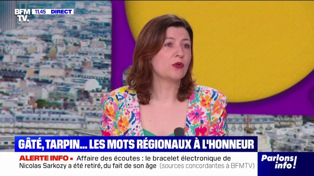 Comment les nouveaux mots du Petit Robert sont-ils choisis?