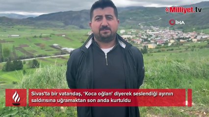 Ayı görüntüleme macerasının sonu! Kamerayı açıp yanına yaklaştı