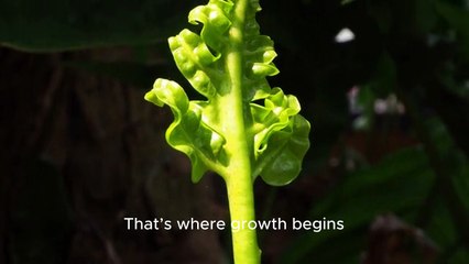 Resilience through silent progress