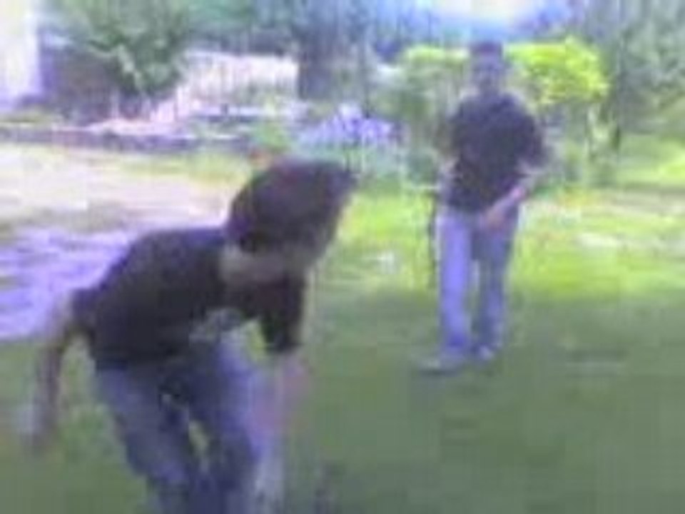 Video-0004