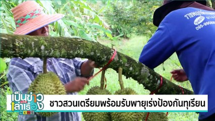 คืบหน้าซื้อทุเรียนกินไม่ได้ เจ้าหน้าที่เข้าตรวจสอบ | เป็นข่าวเล่าเรื่อง | 15 พ.ค. 68 | PART 1