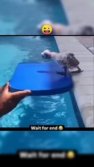 _#babygirl #comedy #new #trending #viralvideo #