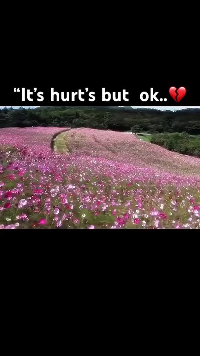 Ok…I agree #music #automobile #artist #love #musicgenre #talhaanjum #newmusic #singer #dirtphonk #n_720p