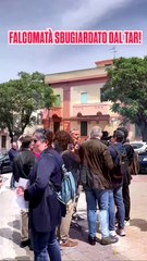 Ripepi - FALCOMATÀ SBUGIARDATO DAL TAR! (15.05.25)