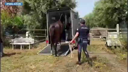 Catania: usa terreno di proprietà comunale per tenerci un cavallo
