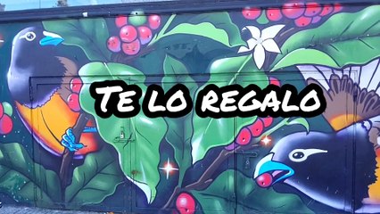 Novia Cumbianchera Te lo regalo canta Giselle Romina Castillo Vargas