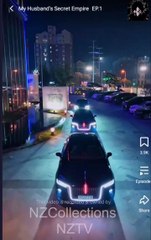 My Husband Secret Empire