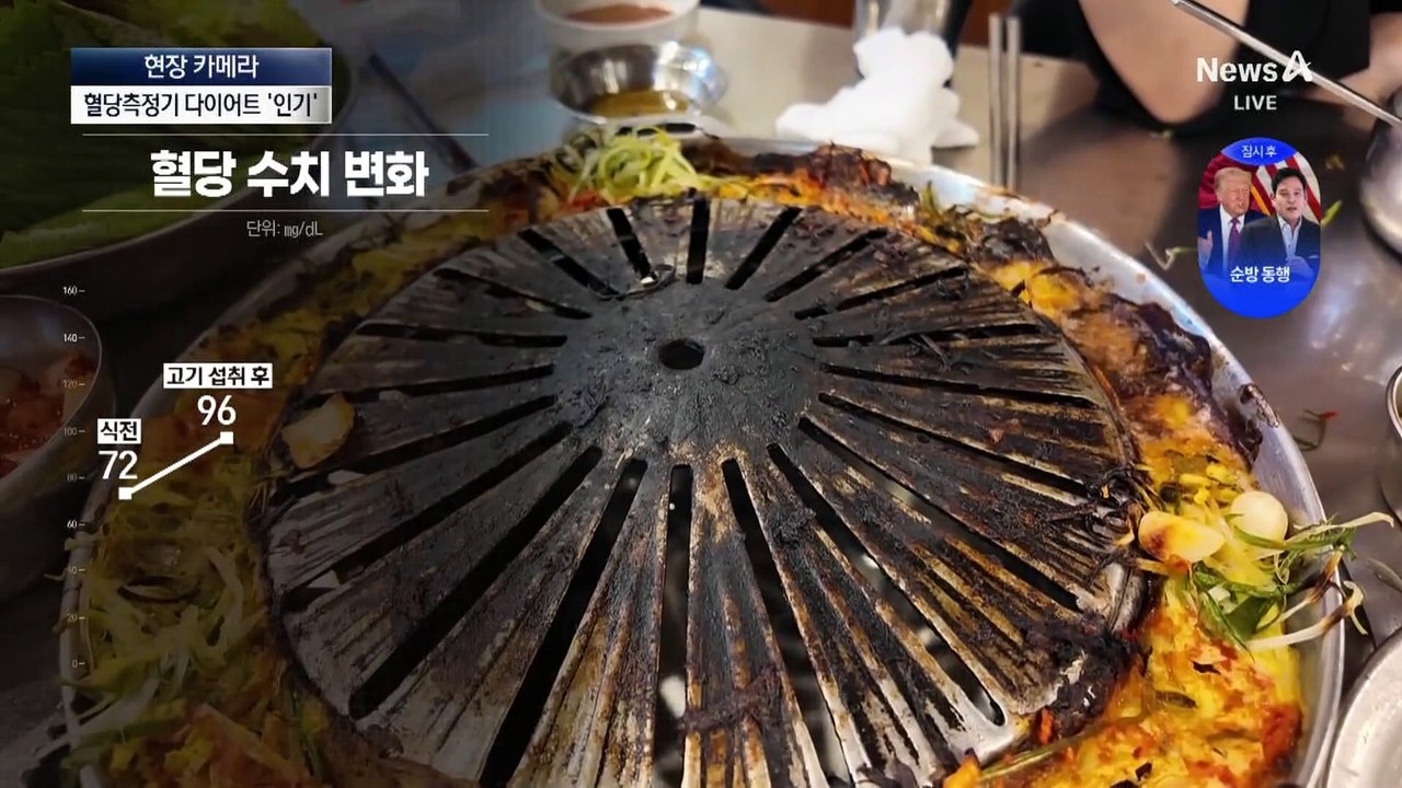 [현장 카메라]혈당 다이어트 급증…“살 빼려다 동맥경화”