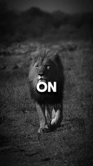 “You Won’t Succeed Until You Hear This – Real Talk Motivation”