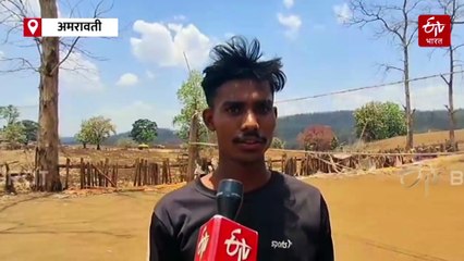 मेळघाटच्या जंगलात व्हॉलिबॉल कसा बनला लोकप्रिय खेळ? अनेक गावात लागली 'नेट'