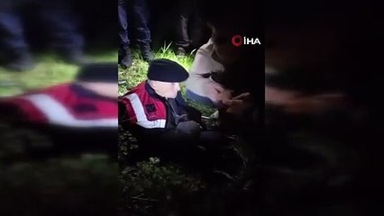 Yaşlı çınar teşkilatı peşine taktı