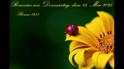 Rosenius am Donnerstag, dem 15. Mai 2025, zu Römer 12,10