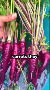 10 Amazing Facts About Food That Will Blow Your Mind #facts #shorts #foodfacts #foodie #ytshorts