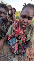 Eating bush meat every day