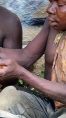 Eating bush meat every day