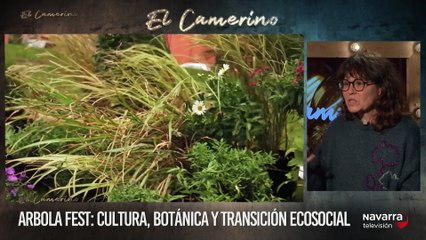 El Festival Arbola celebra su tercera edición