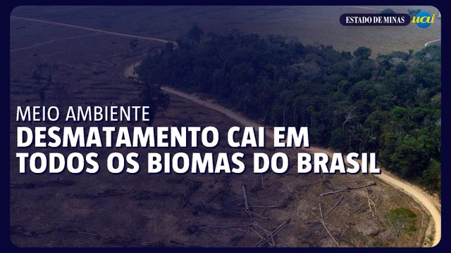 Brasil registra queda de desmatamento em todos os biomas pela primeira vez em 6 anos