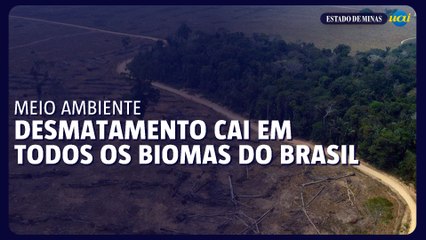 Brasil registra queda de desmatamento em todos os biomas pela primeira vez em 6 anos